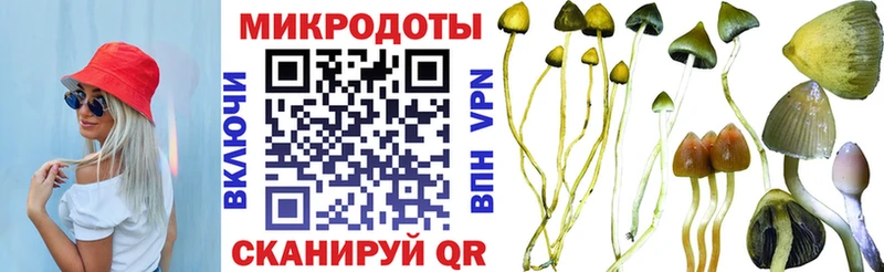 Псилоцибиновые грибы Cubensis  ОМГ ОМГ   Щёлково  закладка 